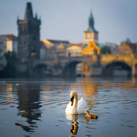 Angel With Large Terrace R6 Homestay Prague